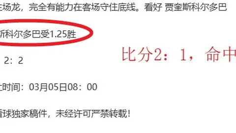 杨旭阐述日本足球：训练激情凸显其足球实力强大